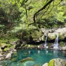 원앙다방 이미지