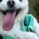 신트리공원(축구장) 이미지