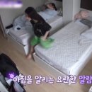소로에루 이미지