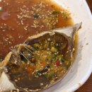 두리랑식당 | <강릉 맛집 | 간장게장 정식 맛집 갯마을 식당 솔직후기 애견 동반 가능>