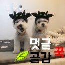 프렌즈성형외과의원 이미지