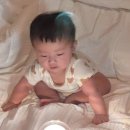 달 무드등 라이트피플 수유등으로 딱이야