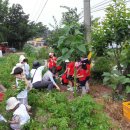 이리중앙초등학교병설유치원 이미지