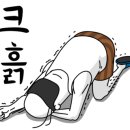 옥산메디칼 이미지