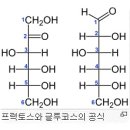 포도당(葡萄糖 글루코스 glucose), 과당(果糖 Fructose), 설탕(sugar 雪糖) 이미지