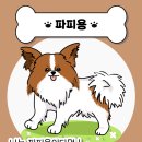 댕댕이,봄 이미지