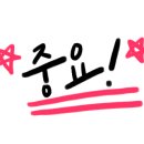 우박덴트Repair 이미지