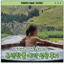 핫오리안산점 | [2일차] 퀸스타운, 온센핫풀, 힐워킹트랙｜온센핫풀 예약 성공 후기 시간대