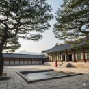 Brilliant Light | 왕과 사는 남자를 보기 전 알아야 할 것들