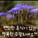 대대당구클럽 이미지