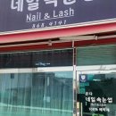 온다네일속눈썹