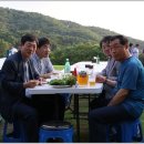 마을잔치 Daum카페