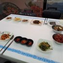 거북이 몰 이미지