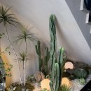 수정펜션 | 인천 신시모도 풀사이드펜션 숙박 솔직후기