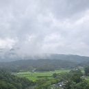 수승대 Daum카페