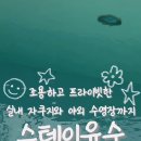 스테이 유수 이미지
