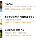 브레인컨설팅그룹