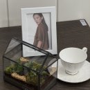 한샘 목동 디자인파크 테라리움 가드닝 클래스 후기