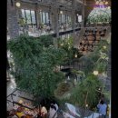 3258 | [청주 베이커리 카페 디저트 카페 추천] 트리브링 청주 트리브링, 자연을 담은 카페