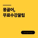 재한몽골학교 | 몽골어첫걸음 무료로 몽골어 배우기 (차강털거이부터 기초문법, 회화까지)