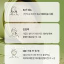[Rbfy]리바이포유 데일리 앰플패드 사용기