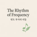 영어의 메커니즘 11 | 빈도 부사의 리듬 — 감정의 박자와 말의 습관 이미지