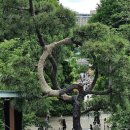 (주)스미다 이미지