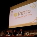 페트로(PETRO) 한국경제TV