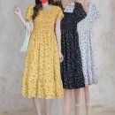 시폰 - 서산시 | 시폰