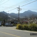 관동주유소 이미지