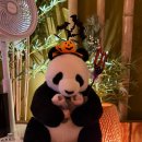 경찰병원역 4번출구(뒤) | 가락동술집 구주 가락점┃직접 만들어 먹는 하이볼과 진격의 구주도넛 후기