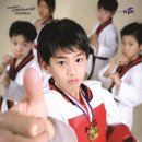 경희대 엘리트 태권도 이미지