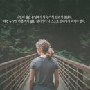 수정1공인중개사사무소 이미지