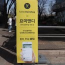 요미살롱 이미지