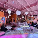 비비(BB)하우스 이미지