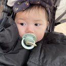 (주)카도스 네이버블로그