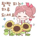 대전요양보호사회 이미지