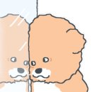 세차의고수울산 이미지