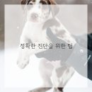 건강가이드