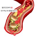 (주)호이 | 김천율곡동 헬스장에서 못 뺀살 10KG 감량 후기 많은 호이클럽