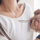 켄넬203 말티푸분양, 미니비숑분양 이미지