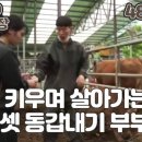 부부축산 이미지