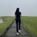 공룡화석지 이미지