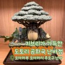 [오사카 지브리샵] 도토리 공화국 난바점 | 오사카 쇼핑 추천 | 토토로 캘시퍼 굿즈 구경 후기