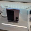 오포 파인드 N2 플립(oppo find n2 flip) &amp; 레노8 실물 후기