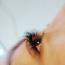 신화하니엘공인중개사사무소 이미지