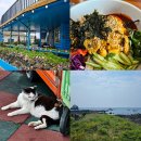 이현(구)북부파출소 | 제주여행 3일차, 제주 한림항 비양도 배시간, 맛집, 카페, 자전거 총정리!