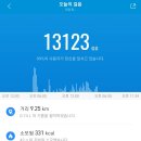 테르 이미지