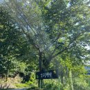 감고을펜션 이미지