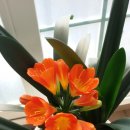 베리타스국어영어전문학원 이미지